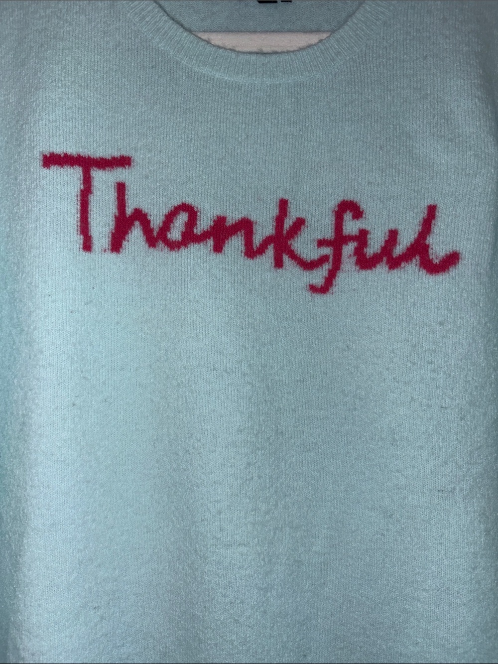 Talbots Light turquoise Crewneck Sweater with bold Pink "Thankful" Script